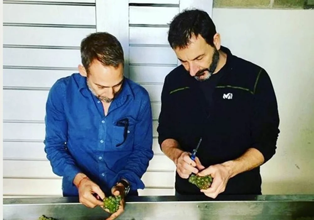 Bodega Chacra
