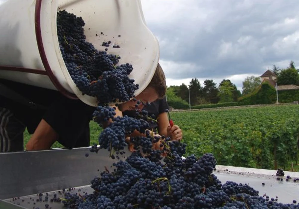 Domaine Francois Lumpp