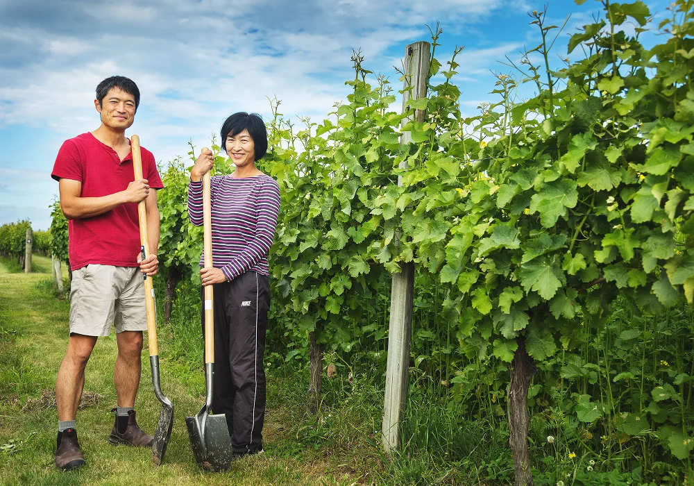 Kimura Cellars