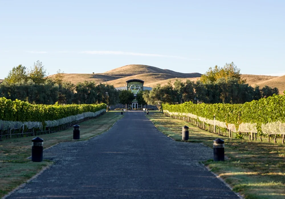 Sileni Estates
