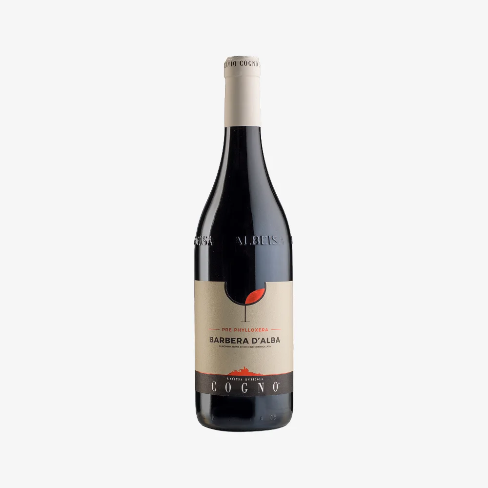 Elvio Cogno Pre-Phylloxera Barbera D'Alba DOC 2022